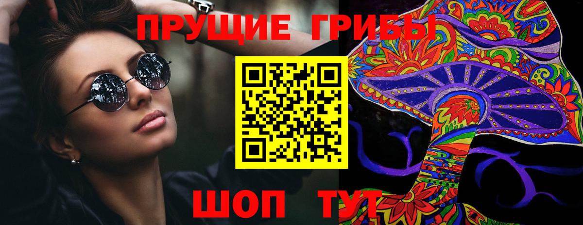 Галлюциногенные грибы Psilocybe Ижевск