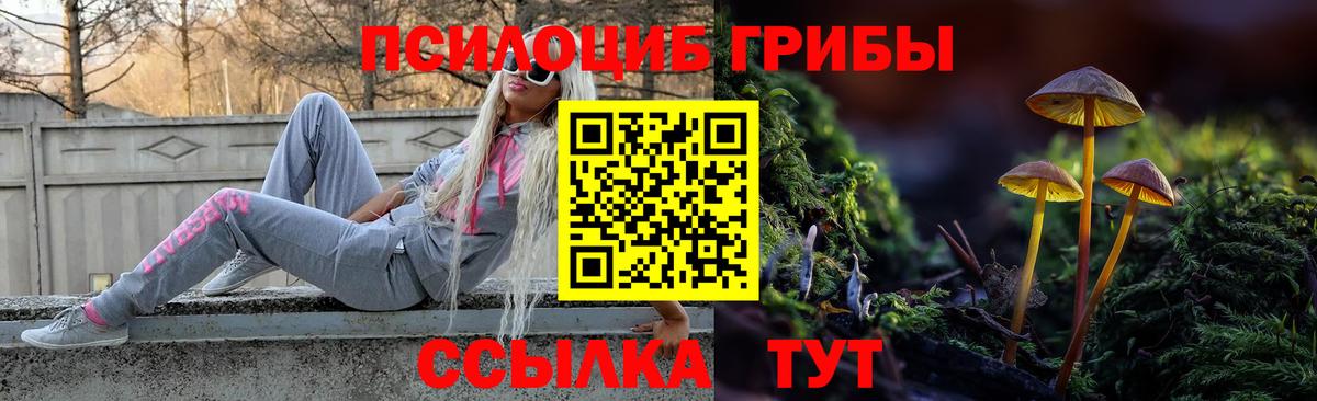 Ижевск  Галлюциногенные грибы прущие грибы  Вход с VPN  Галлюциногенные грибы мицелий 